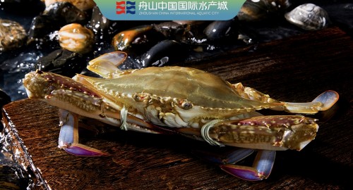 足不出户吃遍时令海鲜，舟山国际水产城牵手天猫农产品