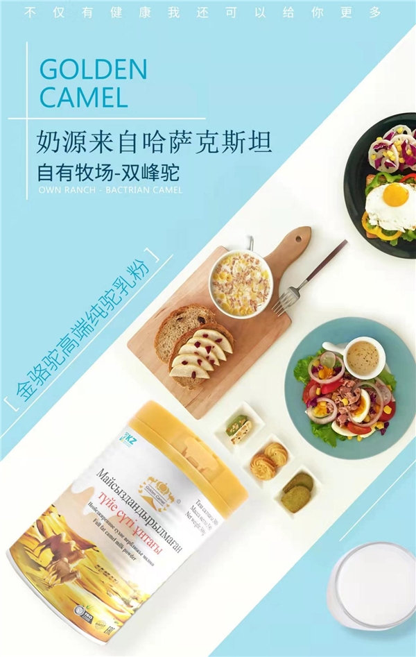  金骆驼——只为一杯好驼奶