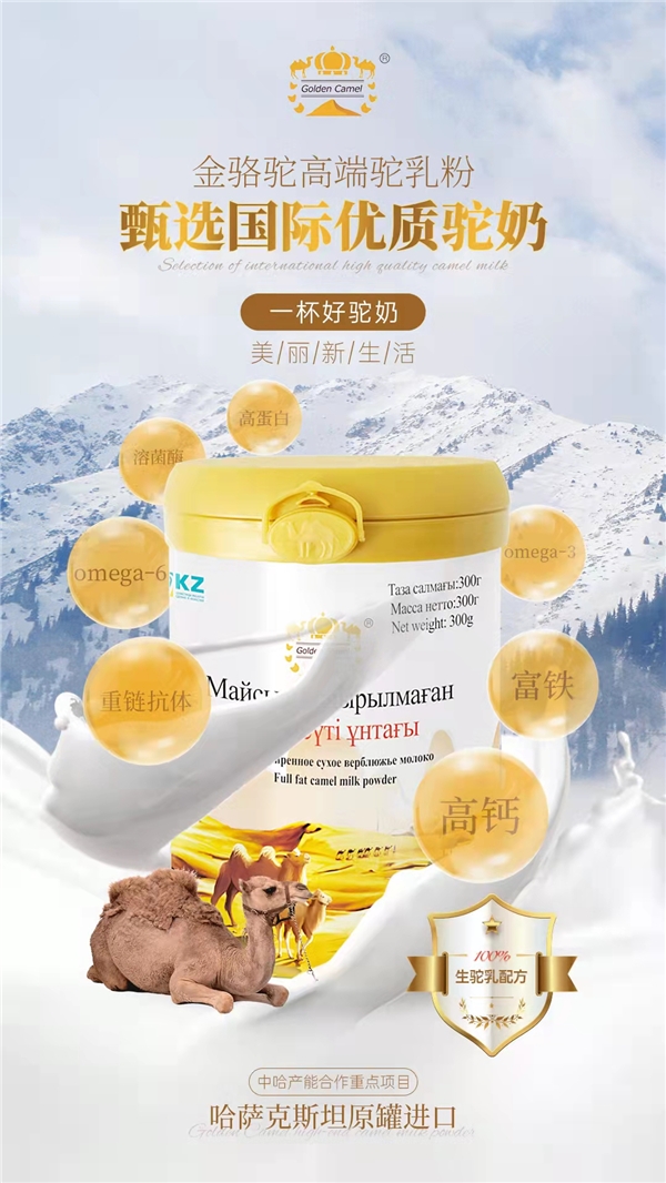  金骆驼——只为一杯好驼奶