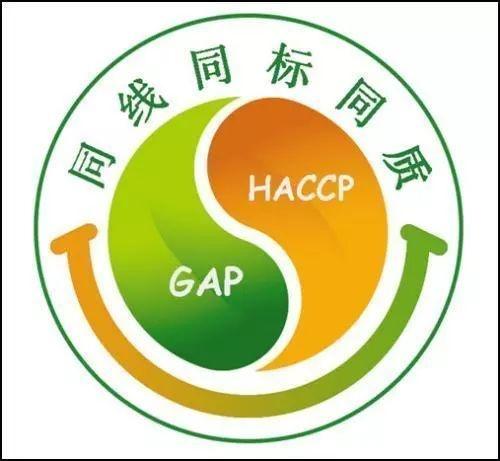  同线、同标、同质，海文铭让国内外都能吃到闽菜之首-福州佛跳墙