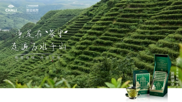 CHALI茶里黑标绿茶上市，携地道风物共探春茶净美之道