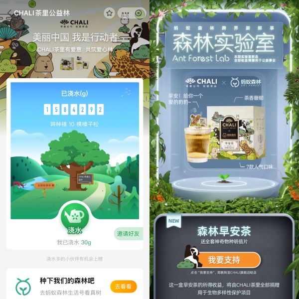  CHALI茶里联合蚂蚁森林推出早安茶，喝茶还能助力公益？
