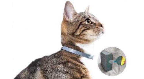  [财经]猫咪体外驱虫用什么？索来多项圈别错过