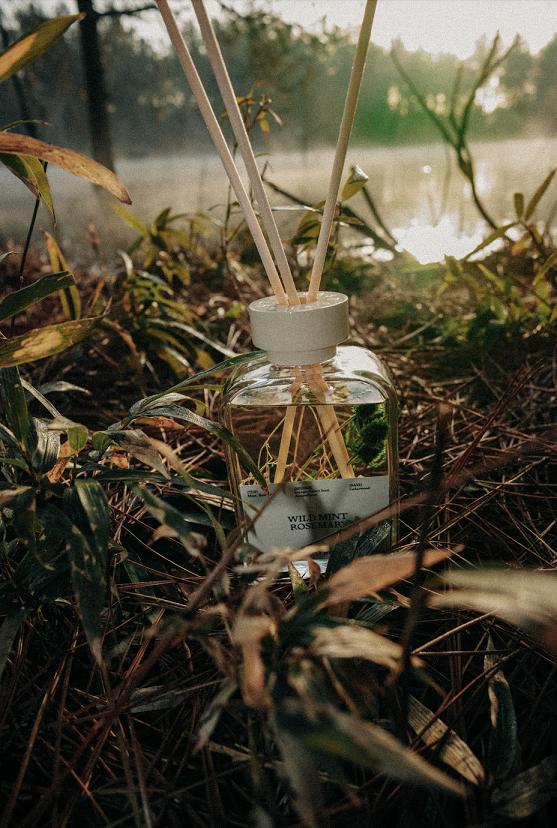  礼物推荐 | 季节限定露水青苔香氛系列