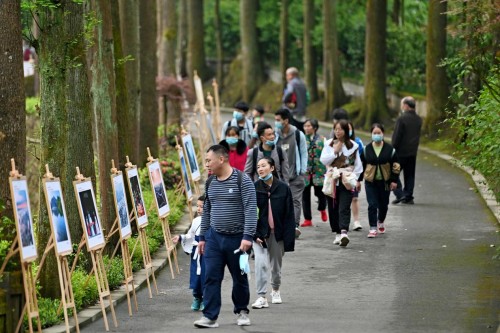  牡丹花开传神韵 国色天香迎宾来——2022年彭州第38届天彭牡丹花会开幕