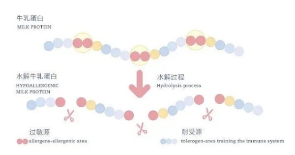  哈罗闪水解牛乳蛋白产品，让妈妈们头疼的这个问题有了“最优解”