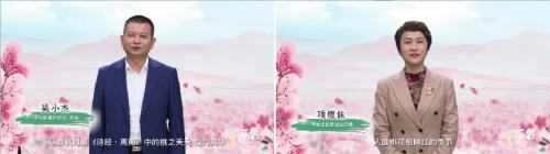  全网云端赏盛世桃花，平谷携手阿里打造云上桃花节