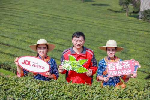  助力乡村振兴，京东物流多维度赋能产地春茶全面发展