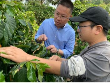  公益力量支持研发推广云南澜沧咖啡实现逆袭