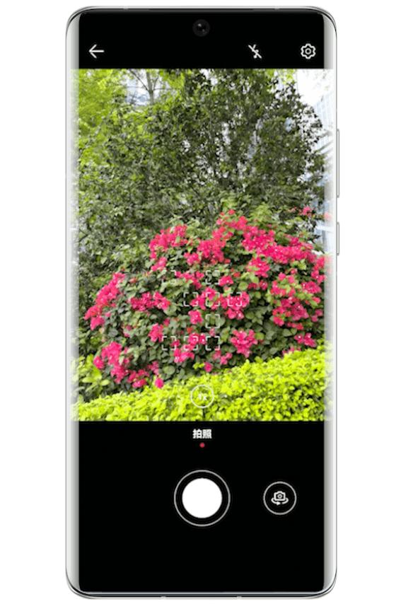  又是一年好时节，带上HarmonyOS 2手机踏青赏花寻春意 