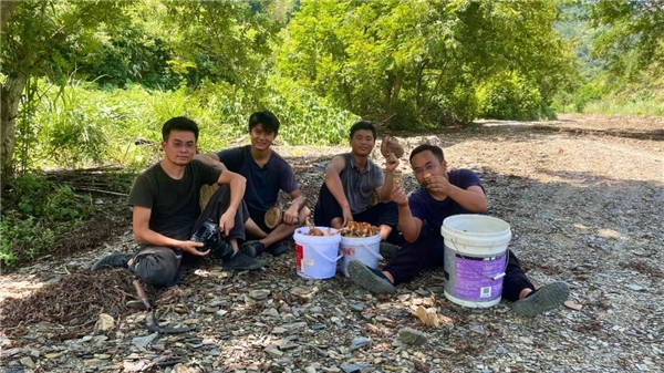  “山货上头条”走进贵州，当地小伙组团助力家乡酸汤调料热销