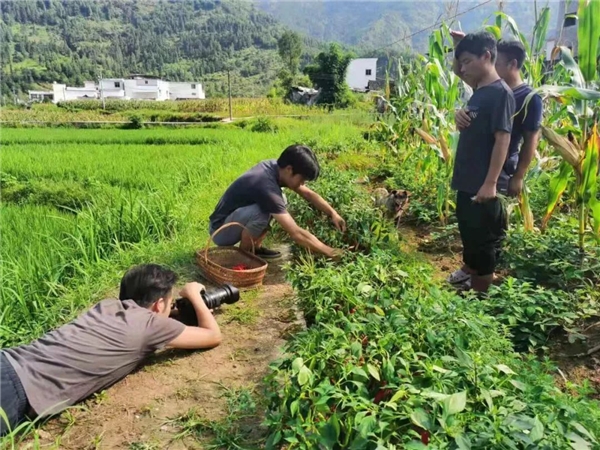  “山货上头条”走进贵州，当地小伙组团助力家乡酸汤调料热销