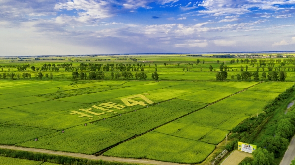  北纬47度，蕴含着中国现代农业的一个秘密
