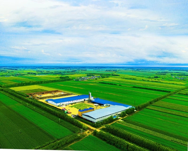  北纬47度，蕴含着中国现代农业的一个秘密