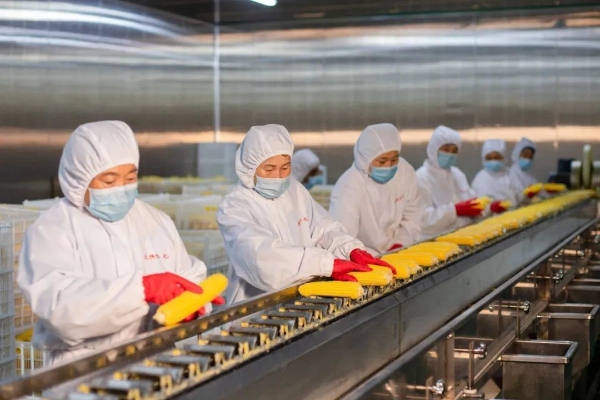  北纬47度，蕴含着中国现代农业的一个秘密