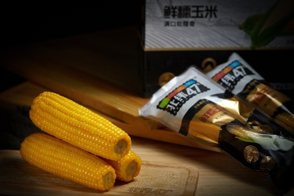  北纬47度，蕴含着中国现代农业的一个秘密