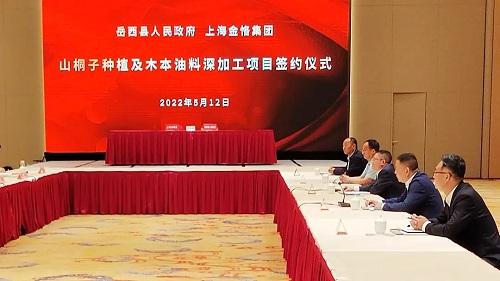 金恪集团与安徽岳西县人民政府签订山桐子种植及木本油料深加工项目合作协议