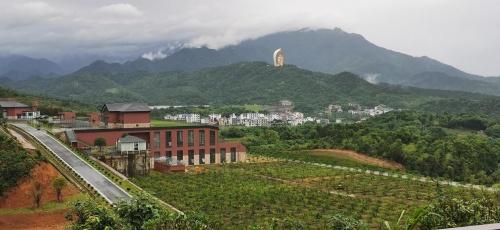  神州通集团推出“山茶果”品牌，直击中国粮油及母婴市场！