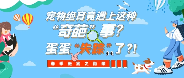  宠物绝育竟遇上这种“奇葩”事？瑞派宠物医院提示警惕隐睾隐患！