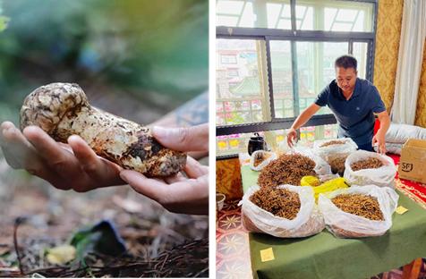  戈壁老王：甄选原生野地珍食材，专注中国原生地滋补品