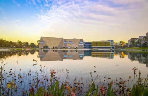  威雅学校：在线教育论坛“英美留学大PK” 圆满收官！