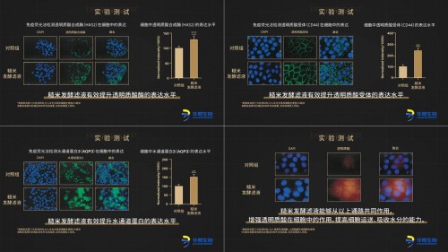 《了不起的生命科学》：首次揭晓BM肌活糙米水“爆火奥秘”！