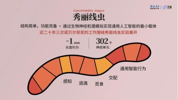  2022北京智源大会开幕，精度最高「智能线虫」诞生，图灵奖得主领衔3天AI论道