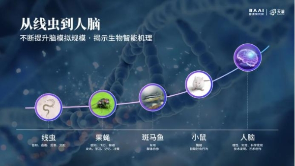  2022北京智源大会开幕，精度最高「智能线虫」诞生，图灵奖得主领衔3天AI论道