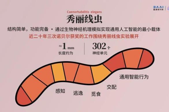  2022北京智源大会开幕，精度最高「智能线虫」诞生，图灵奖得主领衔3天AI论道
