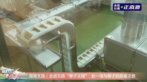 央视关注丨走进椰子王国，赴一场与椰子的甜蜜之旅