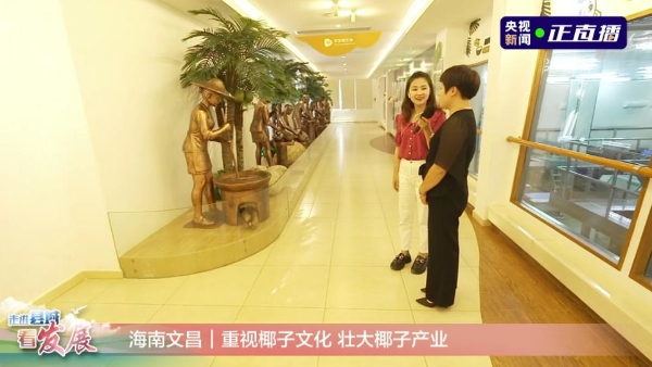 央视关注丨走进椰子王国，赴一场与椰子的甜蜜之旅