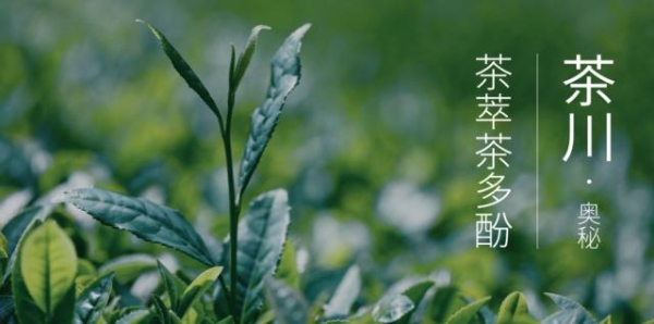 BOTANIST蓓甜诗携品牌代言人范丞丞邀你奢享疗愈