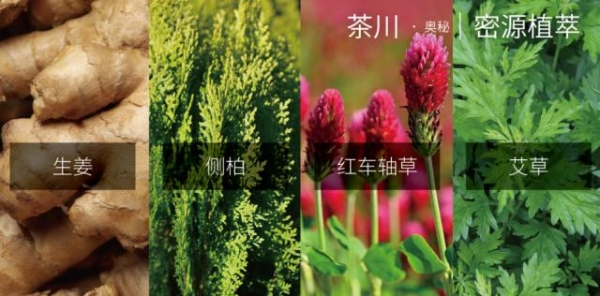 BOTANIST蓓甜诗携品牌代言人范丞丞邀你奢享疗愈