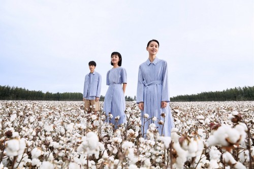 全棉时代参与棉花可持续生产标准制定，推动“中国可持续棉花”发展