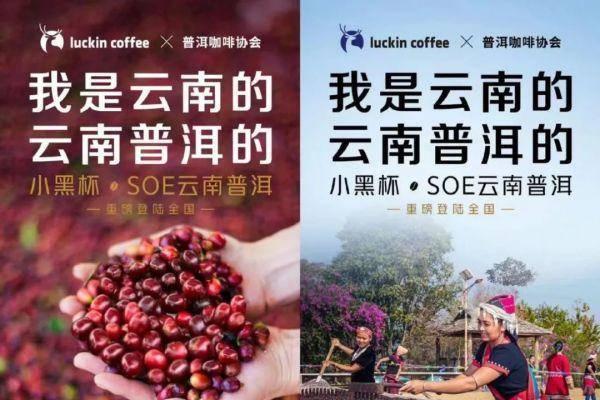 云南普洱咖啡破圈战——技术创新助力产业振兴