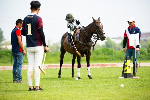 中国马术协会成功举办国内首次马球等级考核