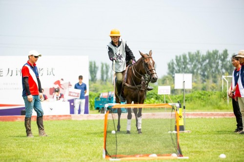 中国马术协会成功举办国内首次马球等级考核