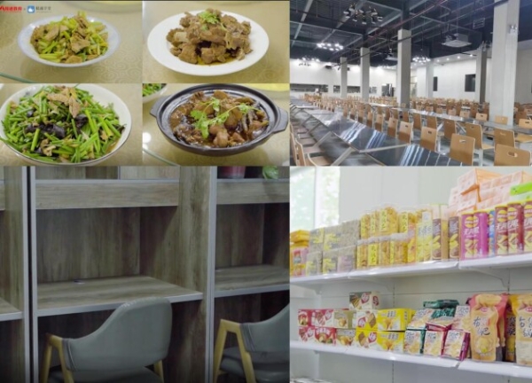 精通教育集团——山东济南学习基地火热开课中
