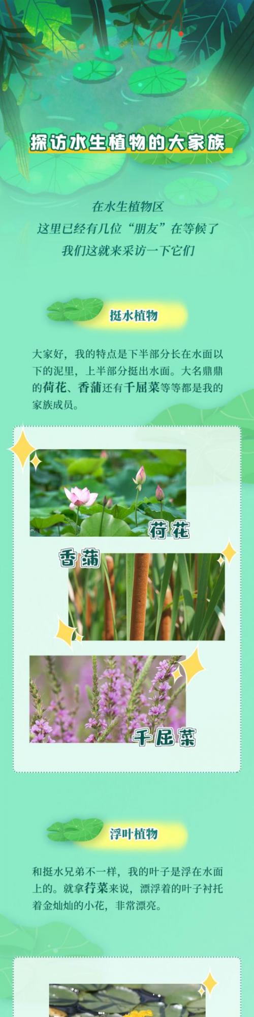 生态环境教育进课堂丨让植物“开口说话”，保护生物多样性