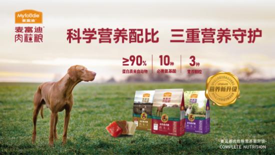 麦富迪肉粒粮新品上市，王牌重磅升级
