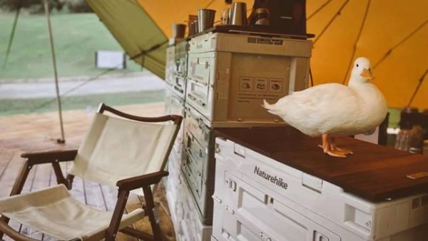 揽星河入怀，枕山野而眠丨轻和CAMPING给你露营的N种可能