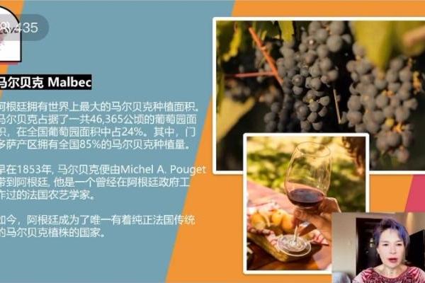 对话酒店行业，阿根廷葡萄酒联手赵凤仪大师推出万豪集团专场线上课程