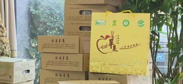 昭通苹果品牌“百花齐放”，苹果产业成为百姓致富的“金果果”