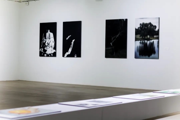 《偶然与想像》华师大设计学院影像艺术首展在喜玛拉雅美术馆开幕