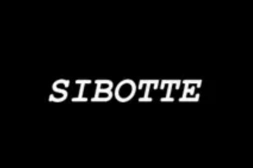 匠人精神世代传承，斯博特（SIBOTTE）腕表用经典诠释不凡