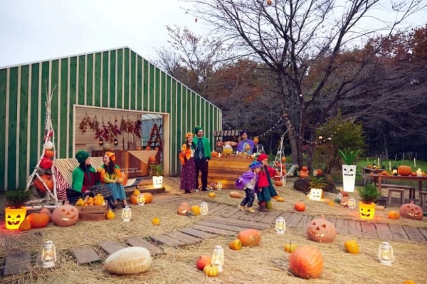 农场派对、魔法酒店、复古主题，星野如何玩转万圣节