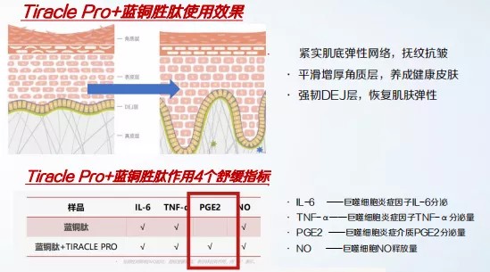 上美集团科研代表详解韩束蓝铜肽系列，从研发到生产全链路