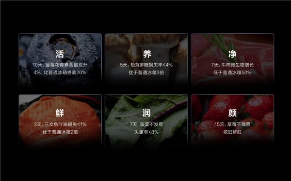 TCL格物冰箱Q10发布，分子保鲜科技守护食材新鲜