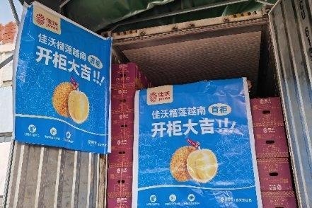 佳沃榴莲引领越南榴莲登陆中国市场