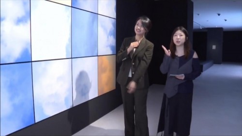“集光片羽”艺术展开幕，线上线下等你来！_TOM资讯